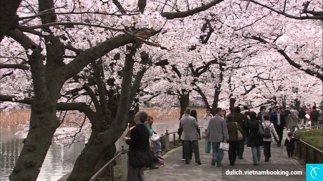 Ở công viên thì không được đi xe đạp luu y khi di du lich o nhat ban