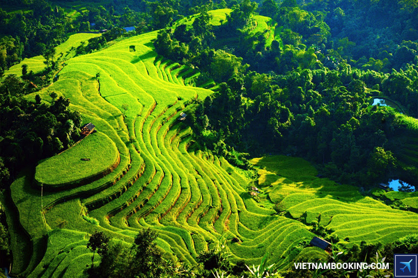 thoa-thich-kham-pha-cac-diem-du-lich-noi-tieng-theo-lich-nghi-nam-2016-8-28-12-2015