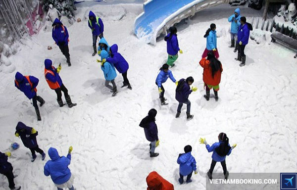 ve may bay di ha noi gia re