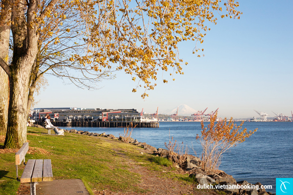 Công viên Myrtle Edwards den-seattle-chiem-nguong-ve-dep-khac-cua-my-1-06-01-2016