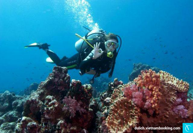 trai-nghiem-hap -dan-du -lich-bien-4-1-2015-3