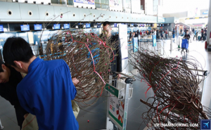 Vietnam Airlines nhận vận chuyển mai đào dịp tết 2016
