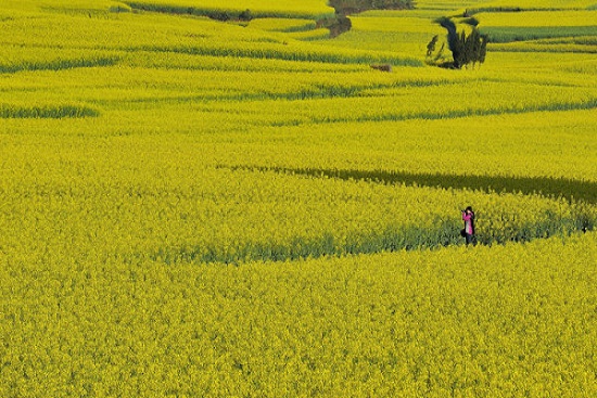 Du lịch th&aacute;ng 3 gi&aacute; rẻ