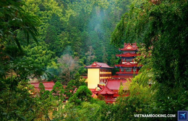 ve may bay di hang chau