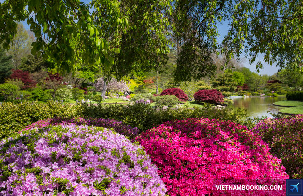 dat mua ve may bay di my hang china airlines