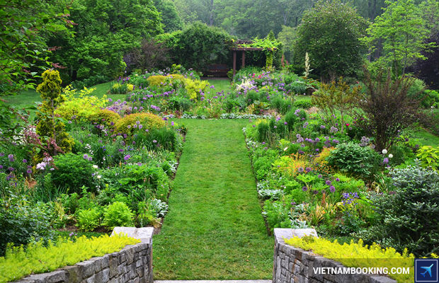 vietnam booking gia re