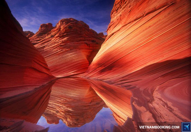 ve may bay di my gia uu dai