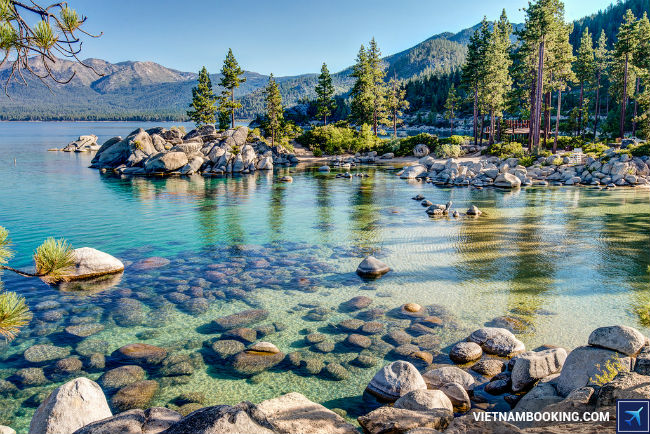 ve may bay di my gia ca phai chang