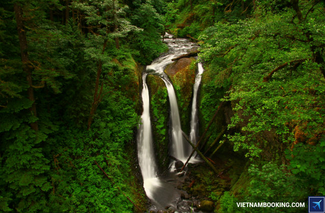 ve may bay di my gia ca phai chang