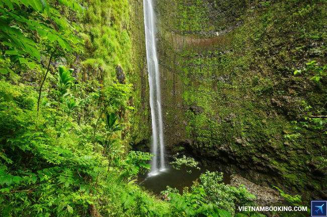 ve may bay di my gia uu dai