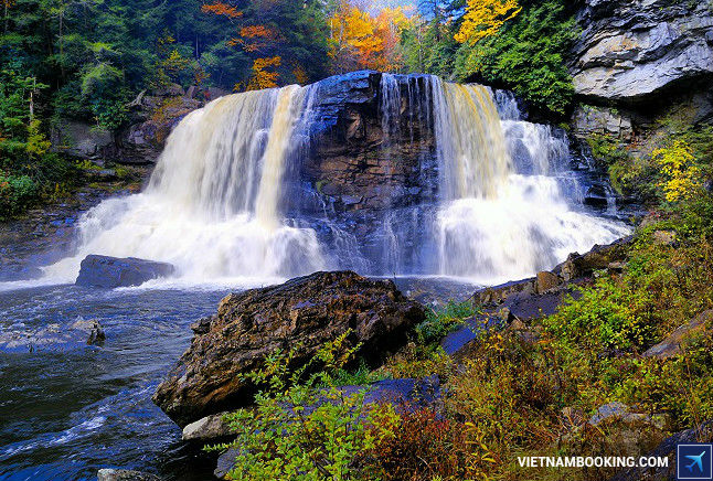 ve may bay di my gia huu nghi