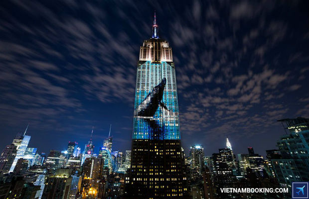 dai ly ve may bay vietnam booking