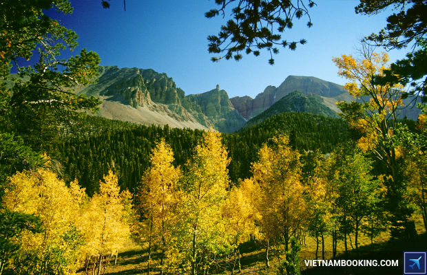 Công viên quốc gia Great Basin ve may bay di my gia re