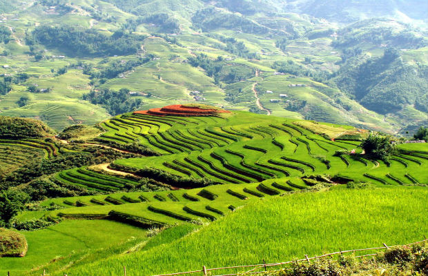 Du lịch Lào Cai | Trọn gói tour giá rẻ 2022 Vietnam Booking