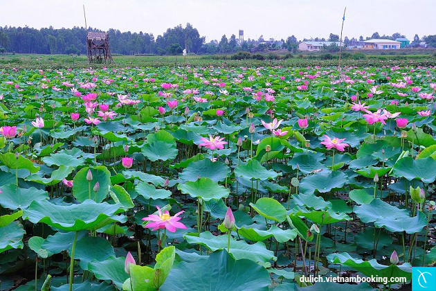 tour du lich long an
