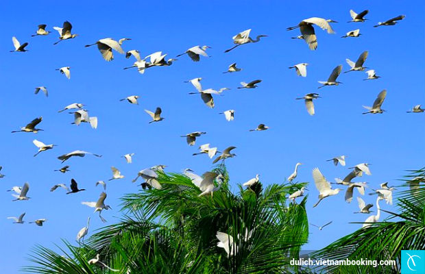 du lich soc trang gia re