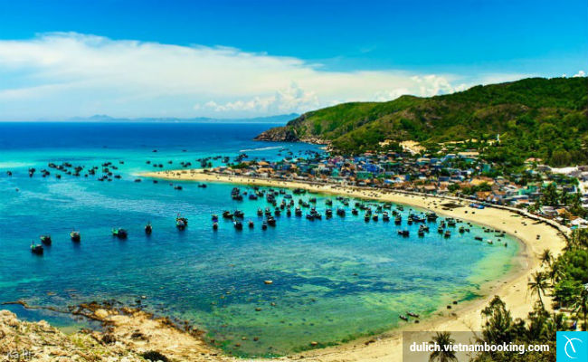 du lich binh dinh gia re