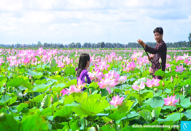 du-lich-dong-thap-5-8-2016-1