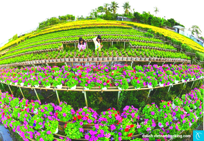 du-lich-dong-thap-5-8-2016-2