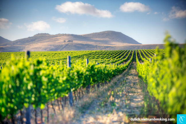 du lich nam phi gia tot