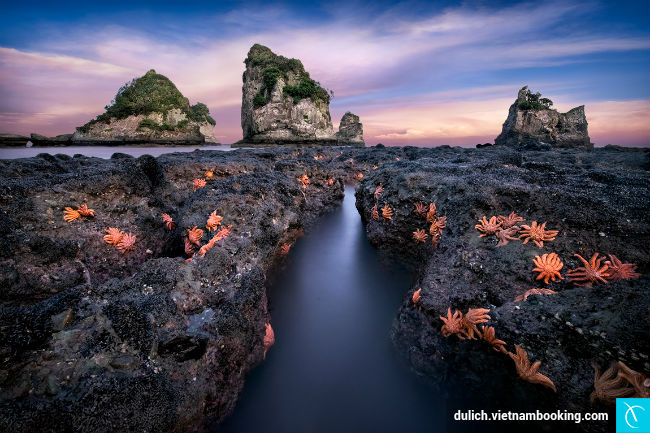 du lich new zealand gia re