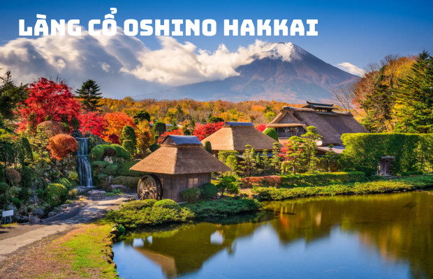 Tour Nhật Bản Mùa Hoa Anh Đào 6N5Đ | Hà Nội – Tokyo – Phú Sĩ – Nagoya – Kyoto – Osaka