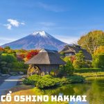 Tour du lịch Nhật Bản Tết từ Hà Nội 5N4Đ | Hà Nội – Osaka – Kyoto – Phú Sĩ – Tokyo