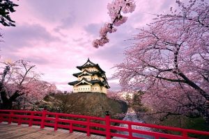 Tour du lịch Nhật Bản 7 ngày 6 đêm | Kyoto – Osaka – Fuji – Tokyo | Ngắm hoa anh đào