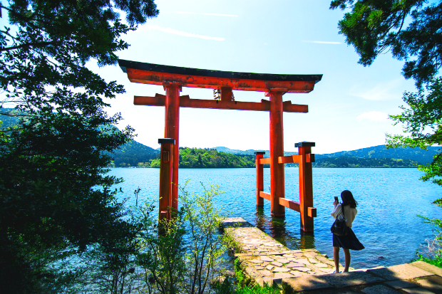 Tour du lịch Nhật Bản tháng 4: Mùa hoa tử đằng – Khám phá đất nước mặt trời mọc mùa lãng mạn nhất