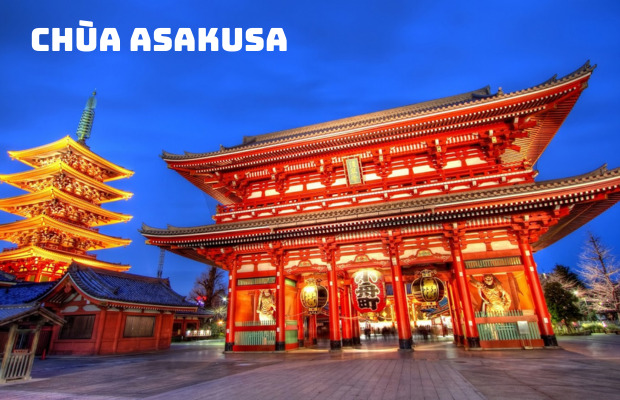 Tour Nhật Bản Mùng 2 Tết 5N5Đ | HCM – Osaka – Kyoto – Yamanashi – Tokyo | Ngắm Hoa Anh Đào