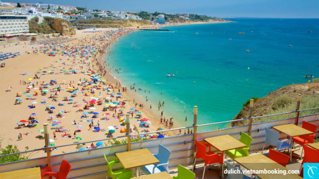 bo-dao-nha-diem-den-duoc-san-don-nhat-nam-2017-3-16-01-2017