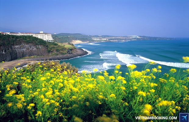 cac loai visa nhap canh vao han quoc