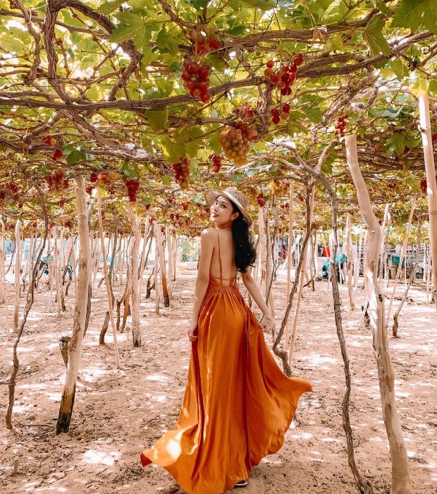 Địa điểm du lịch Ninh Thuận