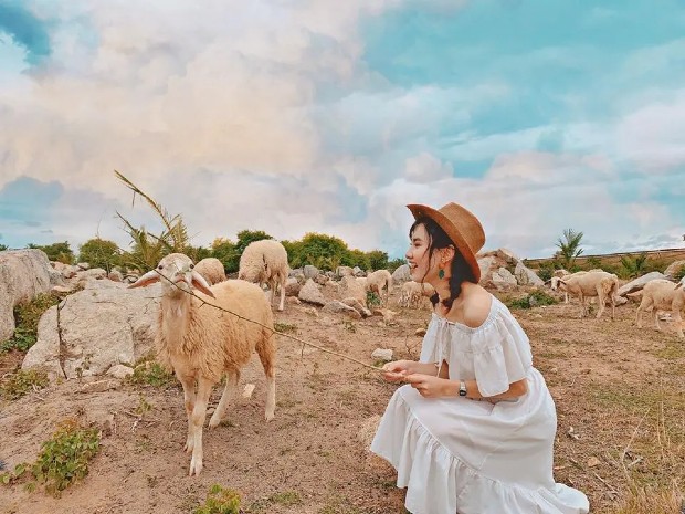 Địa điểm du lịch Ninh Thuận