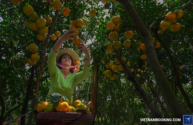 du lịch cần thơ chuẩn bị g&igrave;