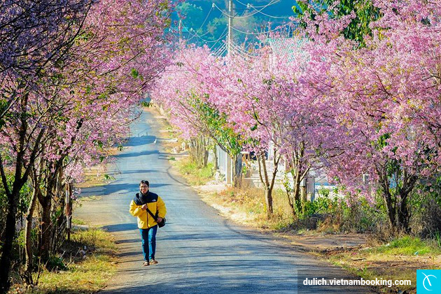 du lich da lat gia re