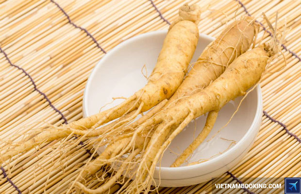 Cẩm nang du lịch Hàn Quốc từ a đến z