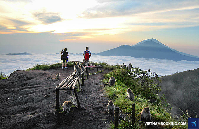 cẩm nang đi du lịch indonesia