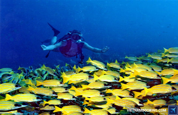 Cẩm nang du lịch Maldives