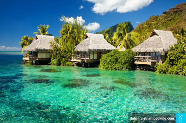 mua tour du lịch new zealand gia re