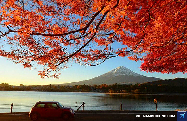 Kyoto vào thu kinh nghiệm đi du lịch nhật bản