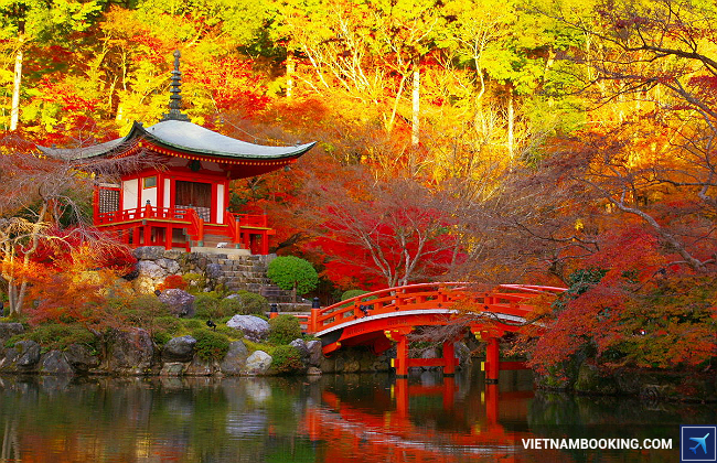 Khi nào bạn nên đi du lịch Nhật Bản?