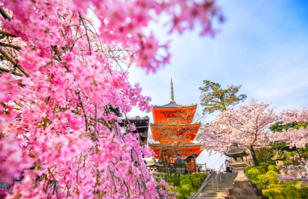 mùa xuân nên đi du lịch ở đâu