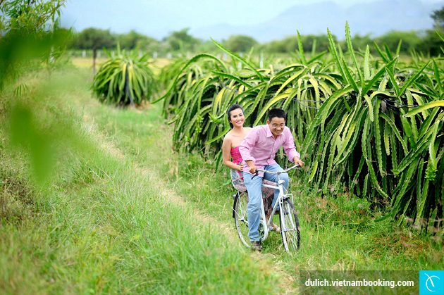 du lich ninh thuan gia re