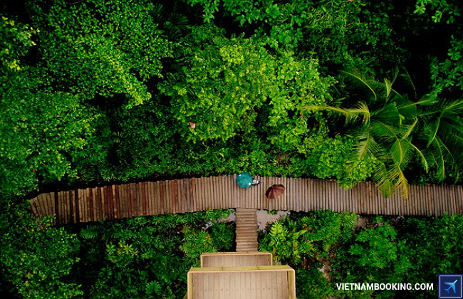 mua tour du lịch singapore