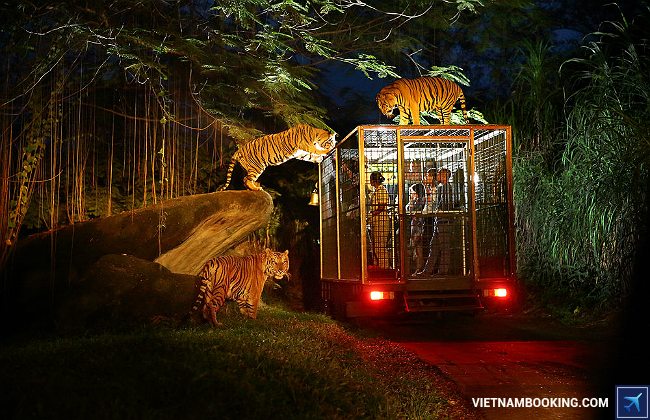 đi du lịch singapore chơi gì