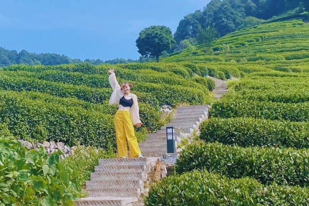 Du lịch Trung Quốc mùa nào đẹp - Làng trà Long Tỉnh