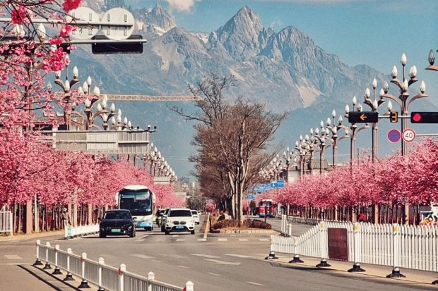 Du lịch Trung Quốc mùa nào đẹp - Mùa xuân