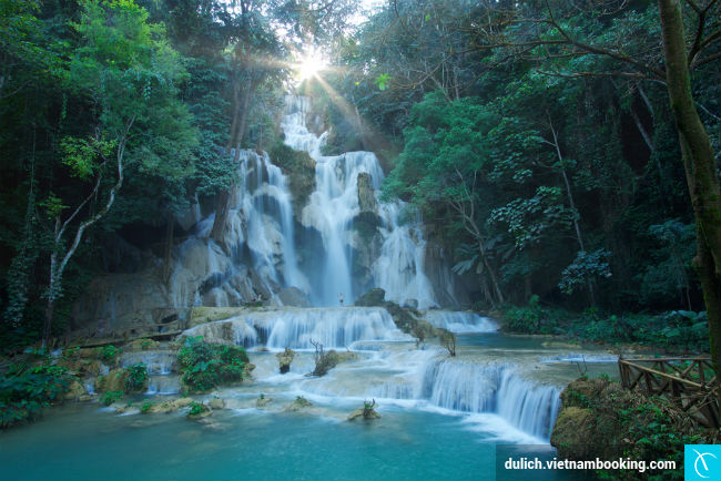 nhung-diem-den-doc-dao-o-chau-a-dip-tet-1-17-01-2017