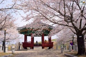 Tour Seoul – Đảo Nami – Everland – Bibap show Hàn Quốc mùng 5 Tết